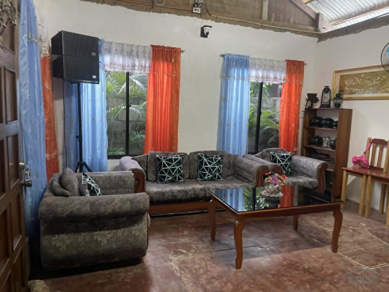 2 bedroom House and Lot for sale in Siquijor - image 2