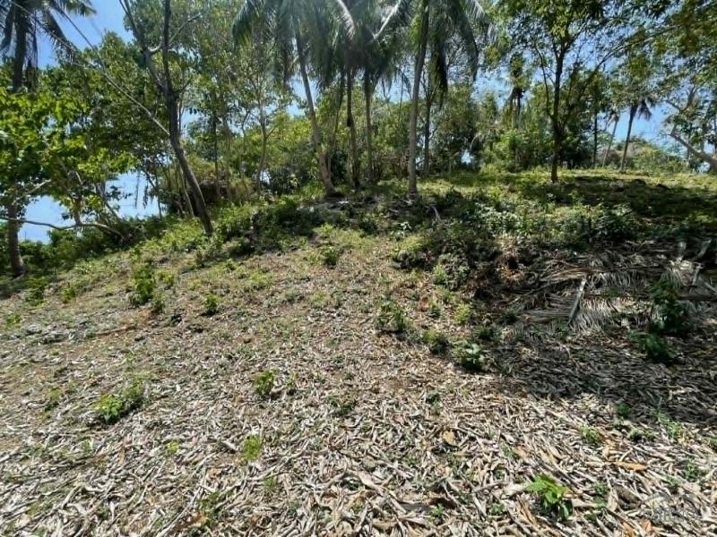 Commercial Lot for sale in San Juan - image 10