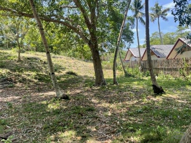 Commercial Lot for sale in San Juan - image 13