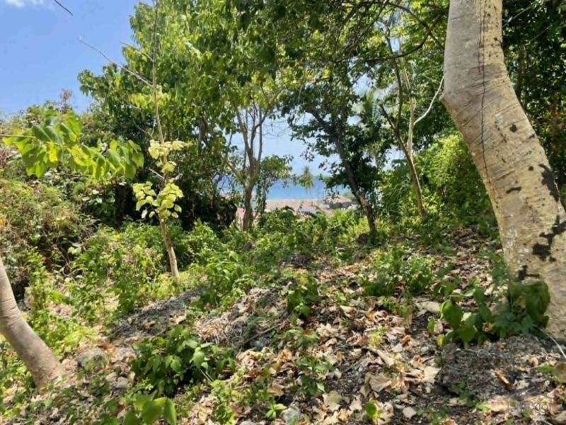 Commercial Lot for sale in San Juan - image 14