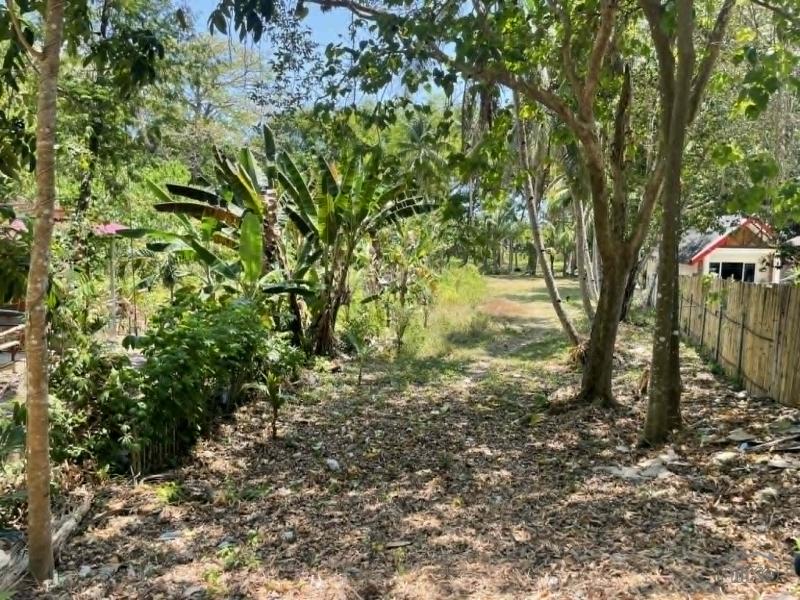 Commercial Lot for sale in San Juan - image 15