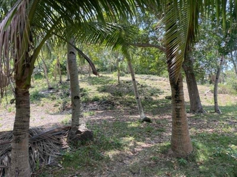 Commercial Lot for sale in San Juan - image 17