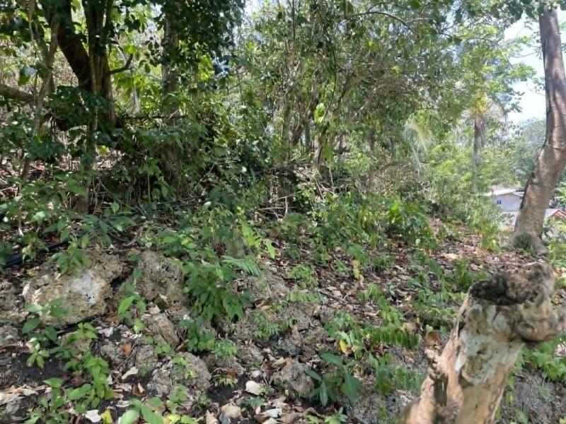 Commercial Lot for sale in San Juan - image 3