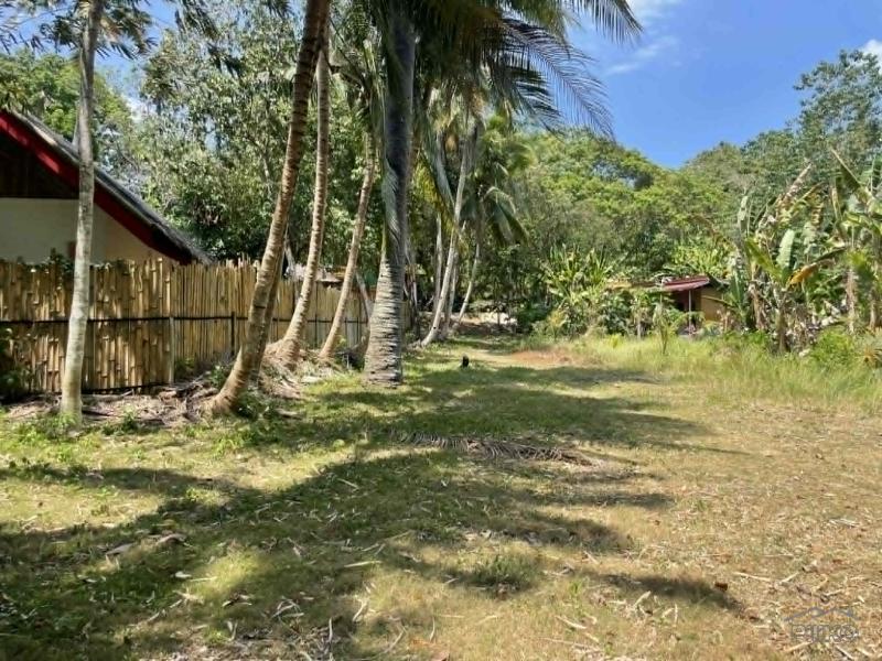 Commercial Lot for sale in San Juan - image 5