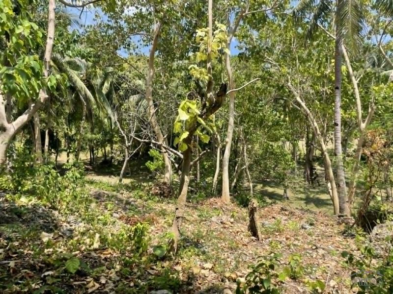 Commercial Lot for sale in San Juan - image 7