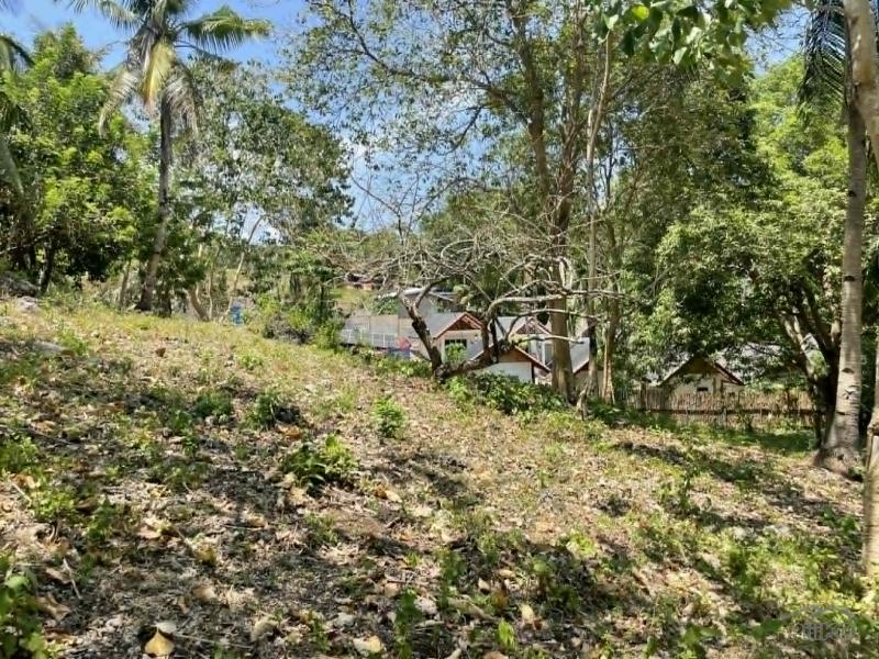 Commercial Lot for sale in San Juan - image 9