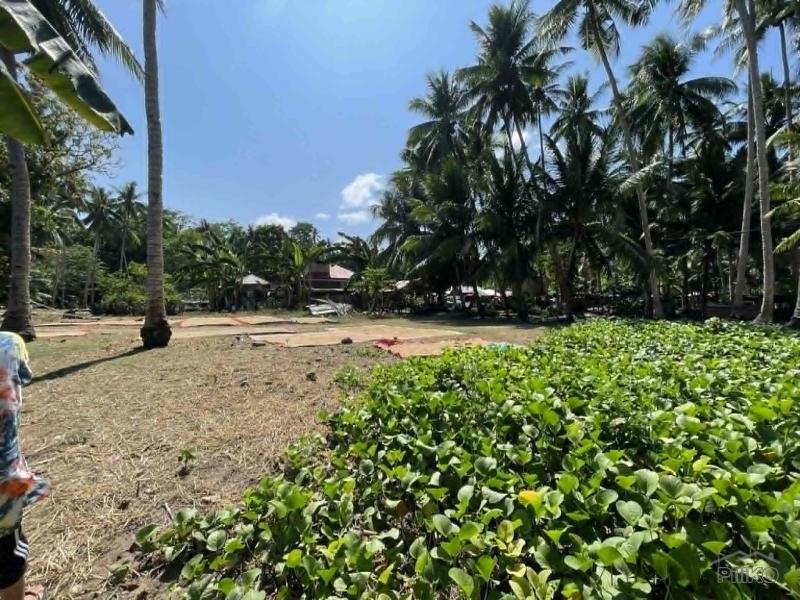 Residential Lot for sale in Maria - image 11