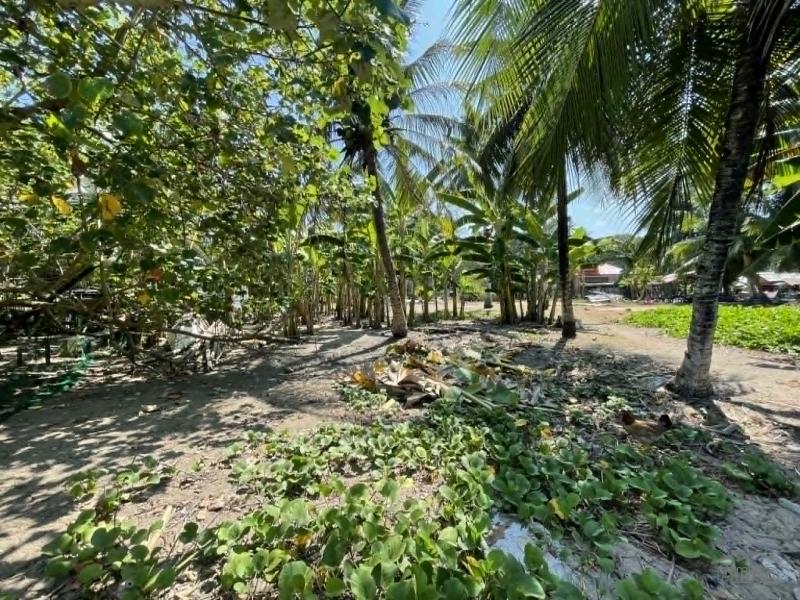 Residential Lot for sale in Maria - image 12