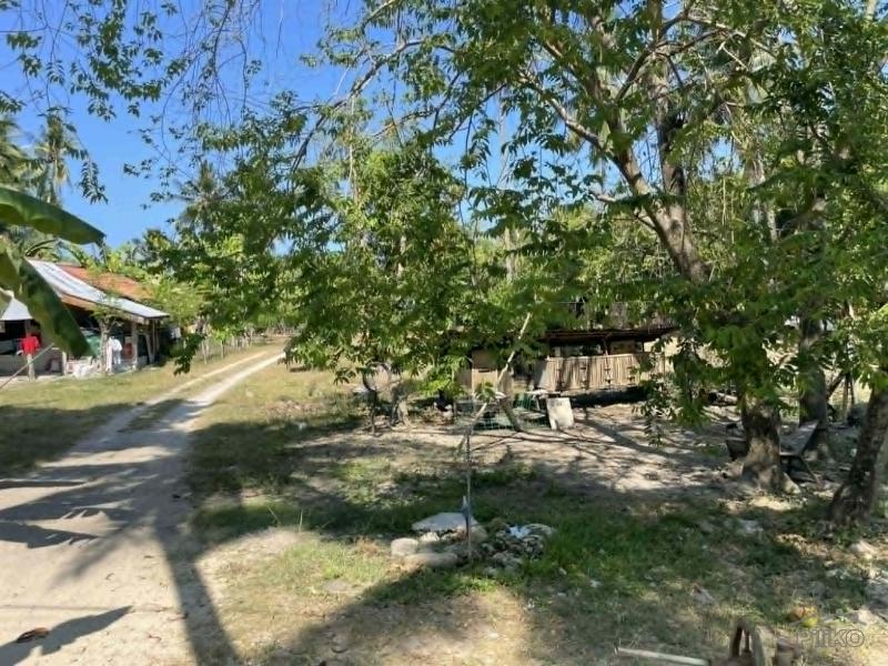 Residential Lot for sale in Maria - image 13