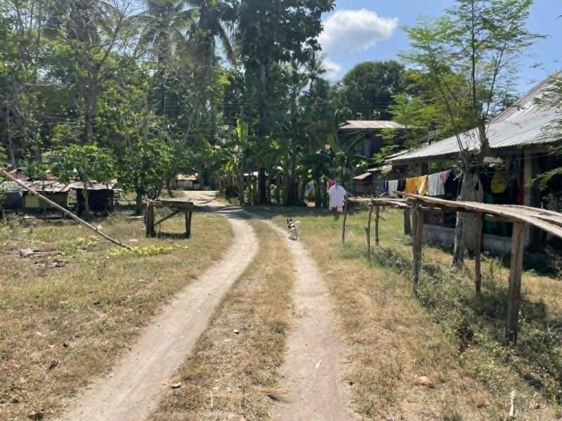 Residential Lot for sale in Maria - image 15