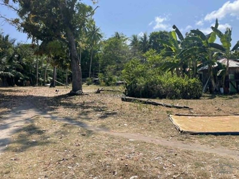 Residential Lot for sale in Maria in Siquijor