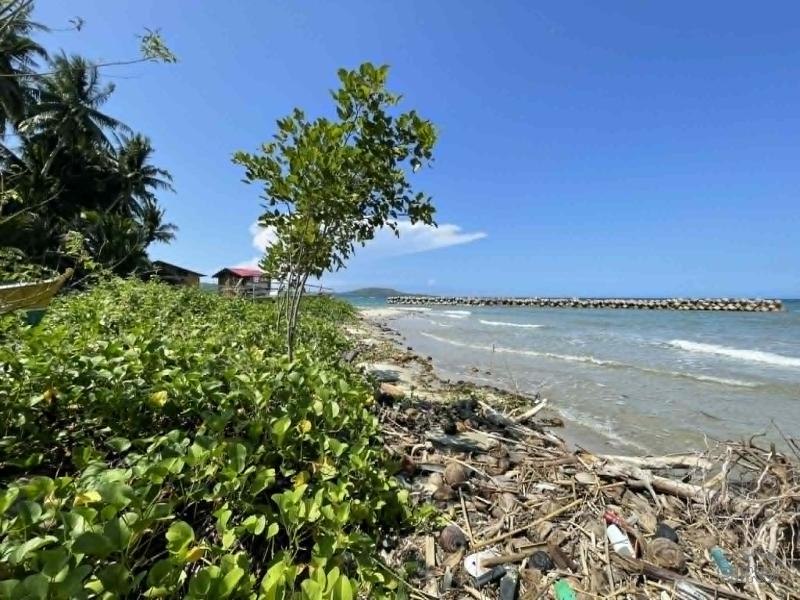 Residential Lot for sale in Maria in Philippines