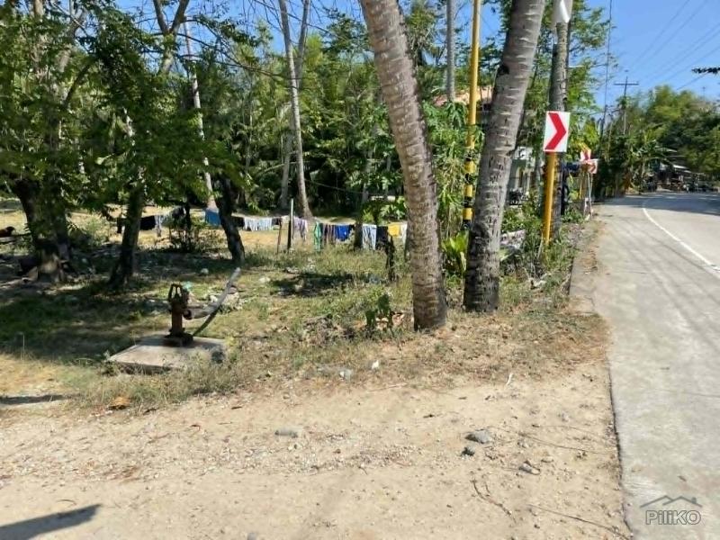 Picture of Residential Lot for sale in Maria in Siquijor