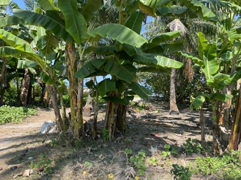 Residential Lot for sale in Maria in Siquijor - image
