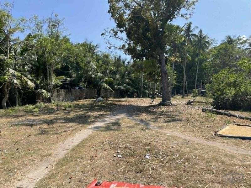 Residential Lot for sale in Maria in Philippines - image