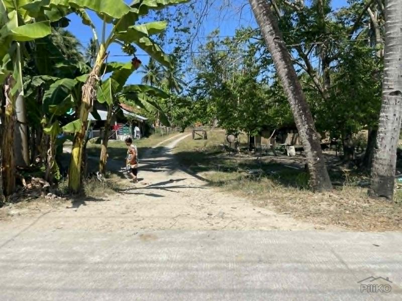 Residential Lot for sale in Maria - image 9
