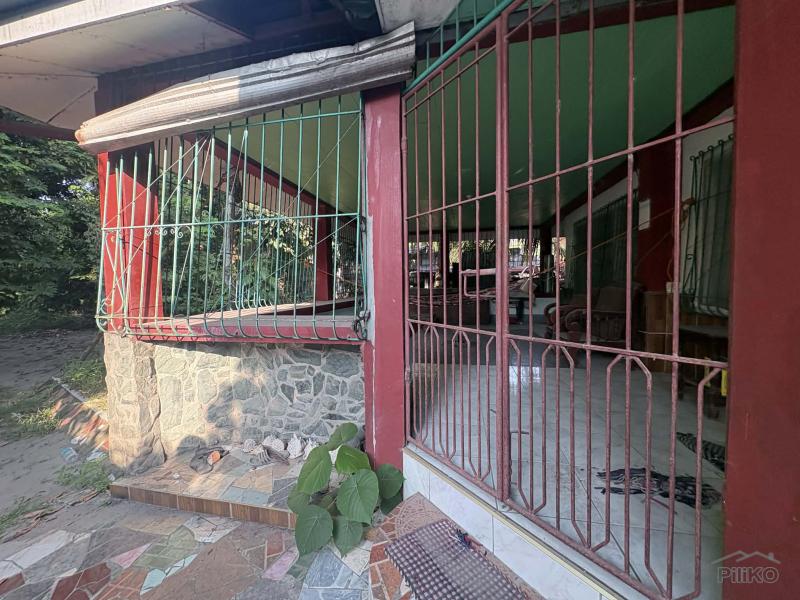 6 bedroom House and Lot for sale in Dumaguete - image 9