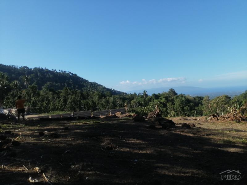 Picture of Residential Lot for sale in Valencia in Negros Oriental