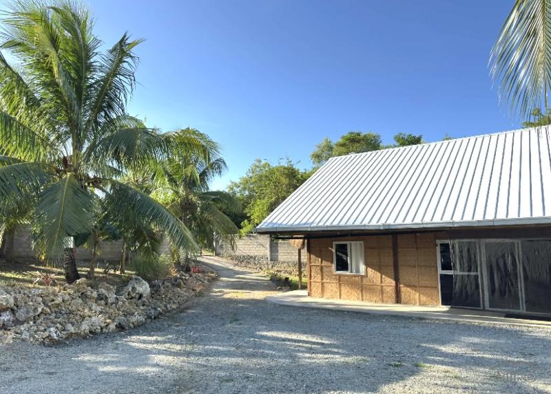 Pictures of 3 bedroom House and Lot for sale in Siquijor