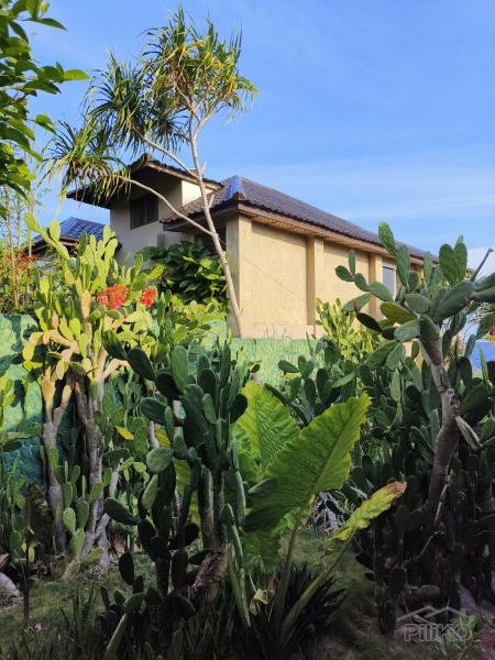 6 bedroom House and Lot for sale in San Juan - image 10