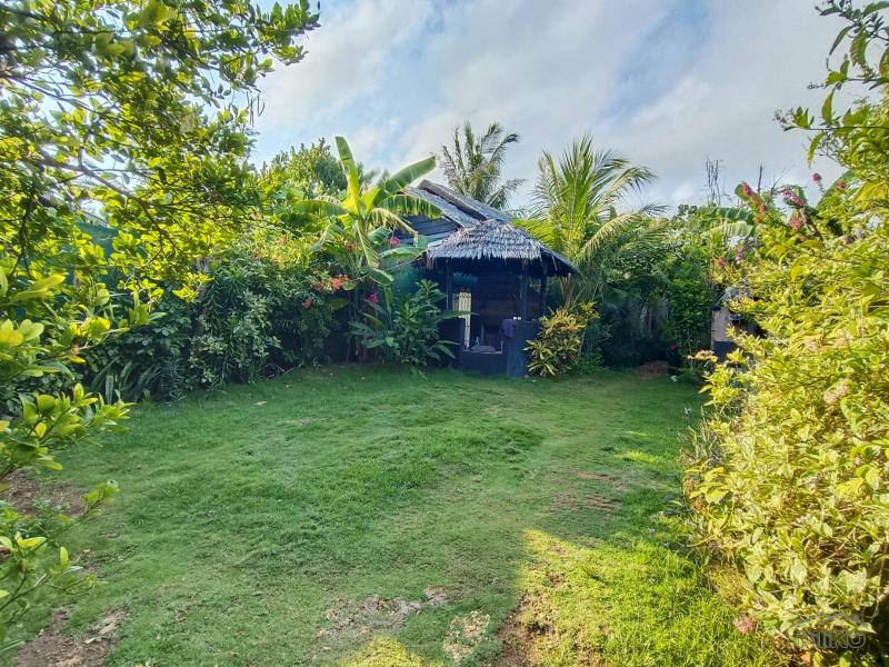 6 bedroom House and Lot for sale in San Juan - image 9