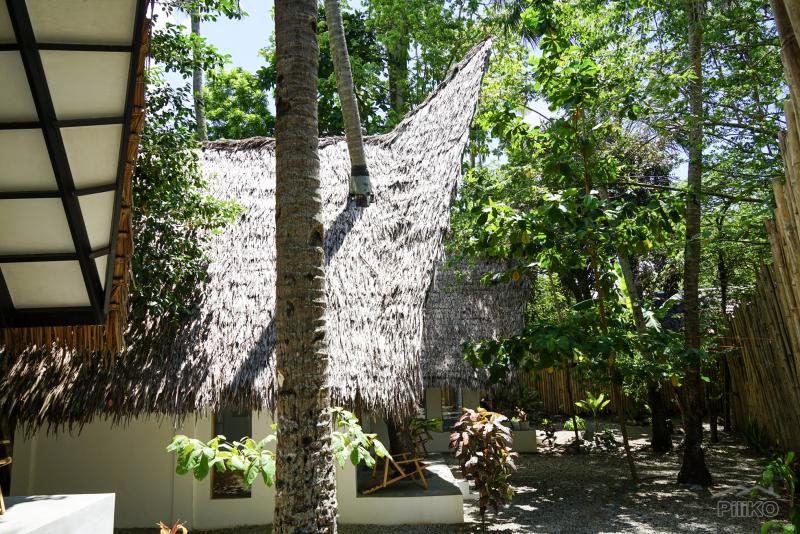 Resort Property for sale in Siquijor - image 10