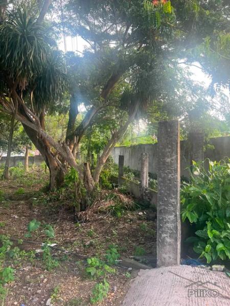 Residential Lot for sale in Dauin - image 2