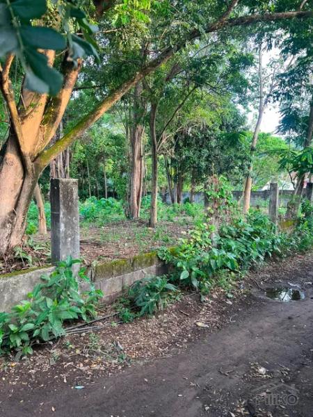 Residential Lot for sale in Dauin - image 3