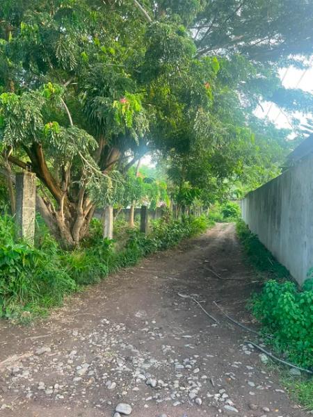 Residential Lot for sale in Dauin - image 5
