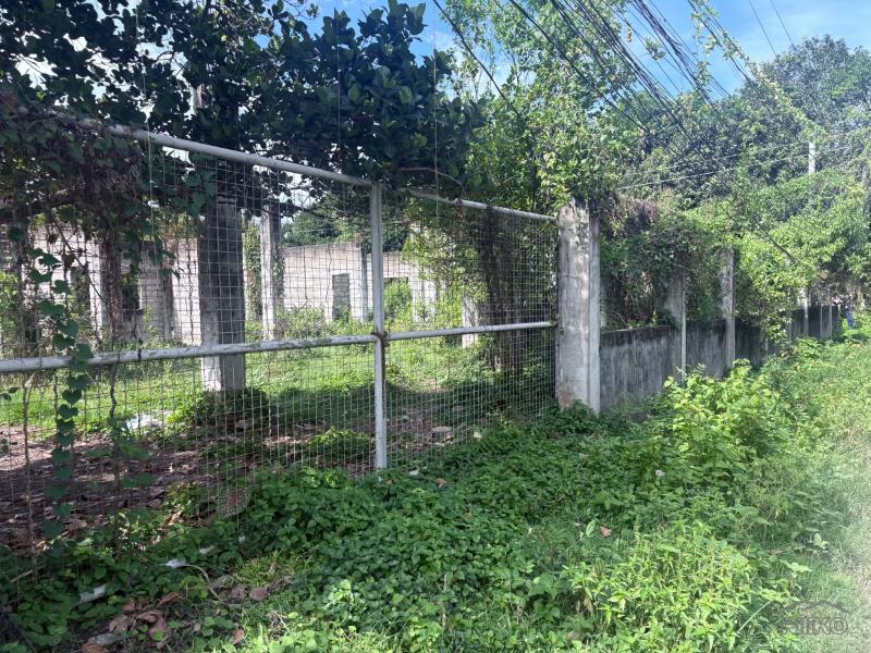 Residential Lot for sale in Dumaguete - image 10