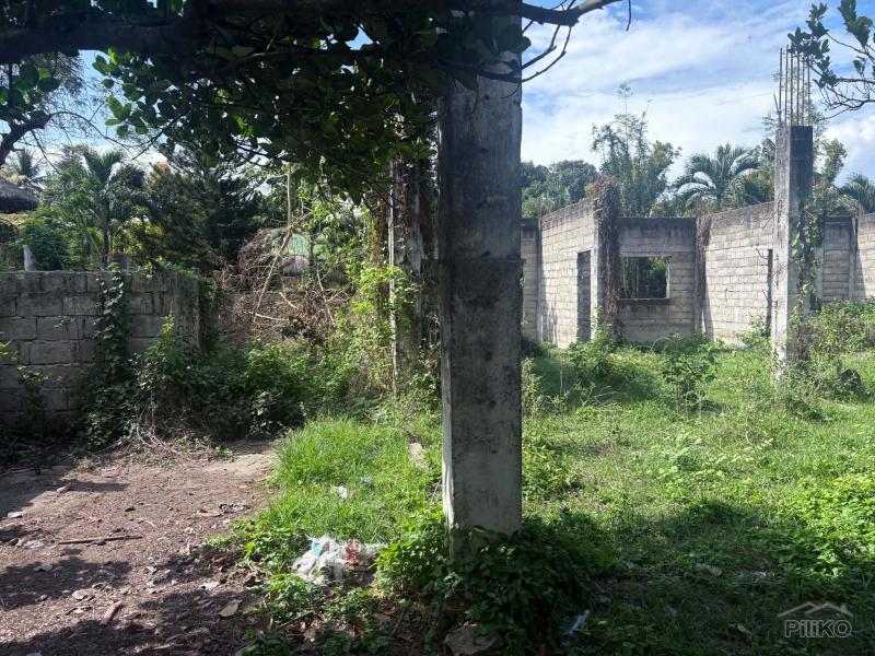 Residential Lot for sale in Dumaguete - image 11