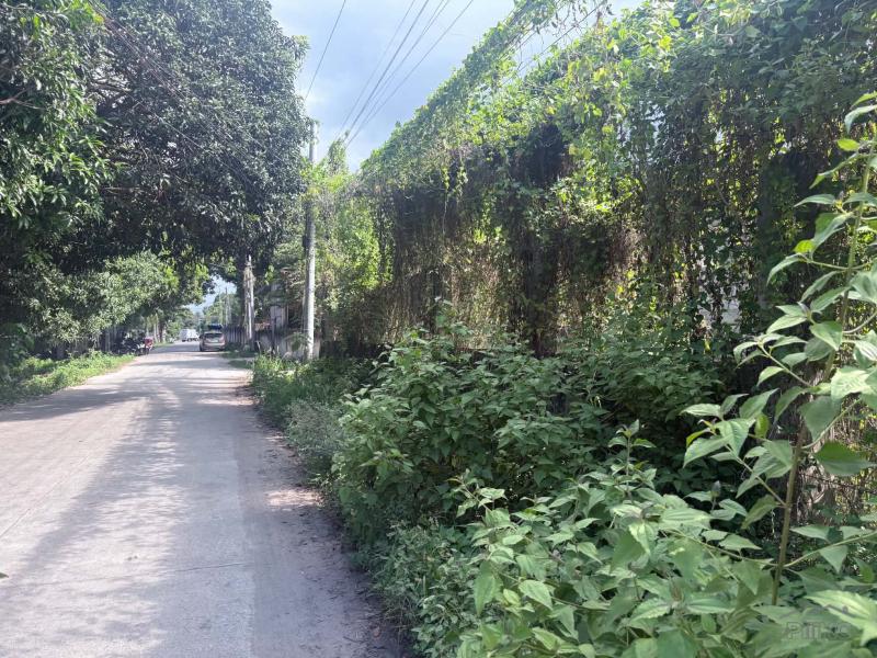 Residential Lot for sale in Dumaguete - image 12
