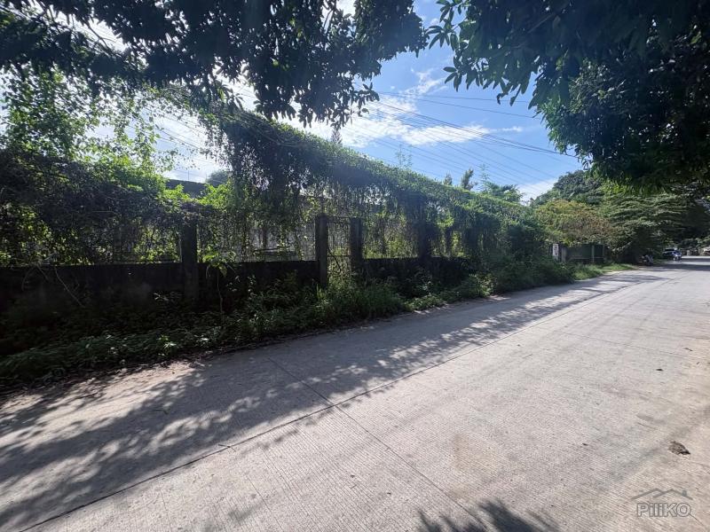 Residential Lot for sale in Dumaguete - image 13
