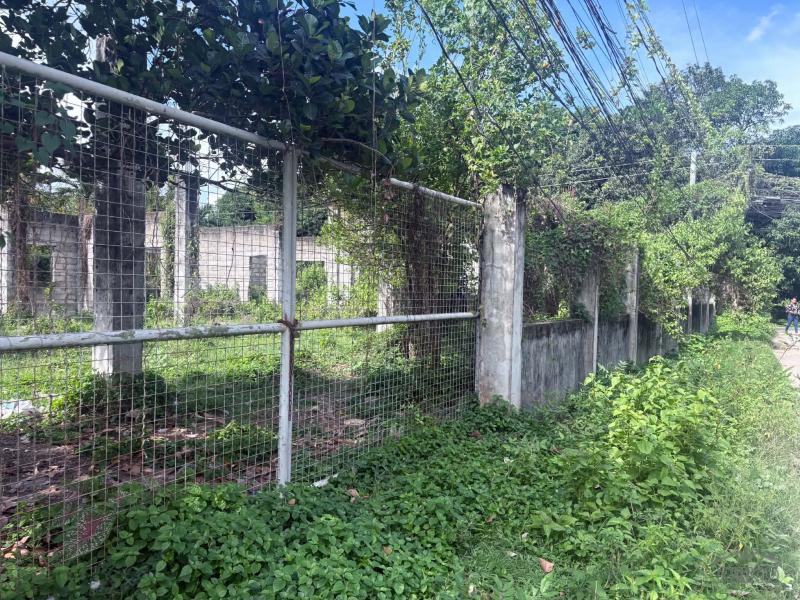 Residential Lot for sale in Dumaguete - image 3