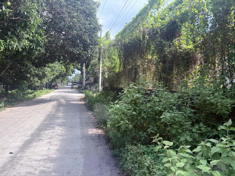 Residential Lot for sale in Dumaguete - image 5