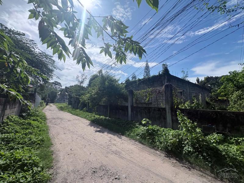 Residential Lot for sale in Dumaguete - image 6