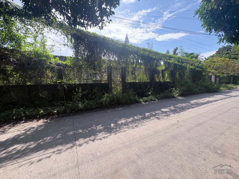 Residential Lot for sale in Dumaguete - image 7