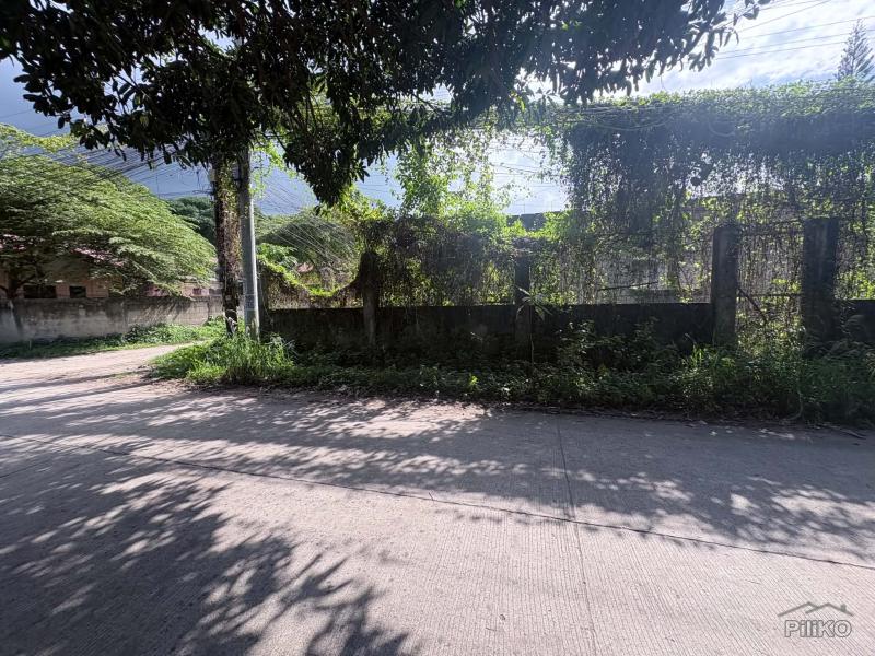Residential Lot for sale in Dumaguete - image 8