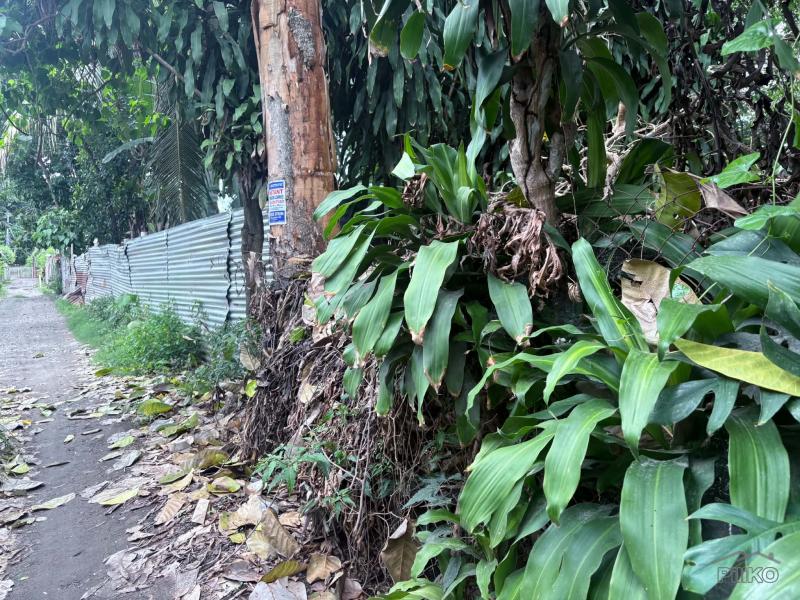 Residential Lot for sale in Dumaguete - image 3