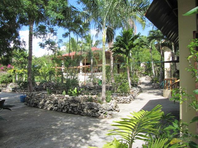 Picture of House and Lot for sale in Oslob