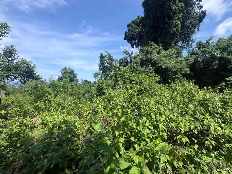 Residential Lot for sale in San Juan - image 10