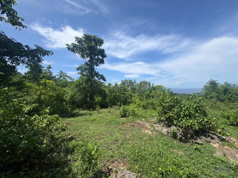 Residential Lot for sale in San Juan - image 11