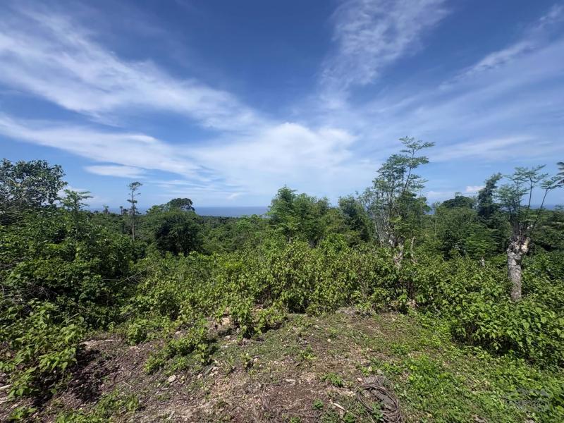 Residential Lot for sale in San Juan - image 13