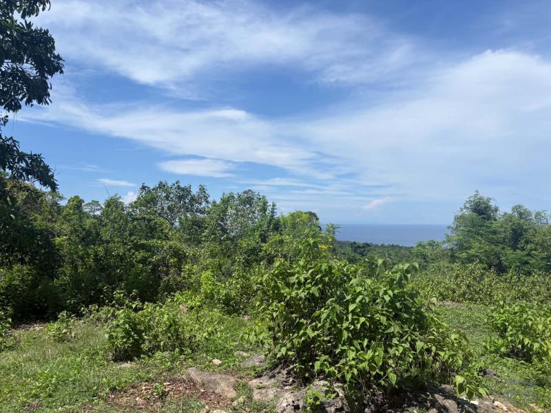 Picture of Residential Lot for sale in San Juan