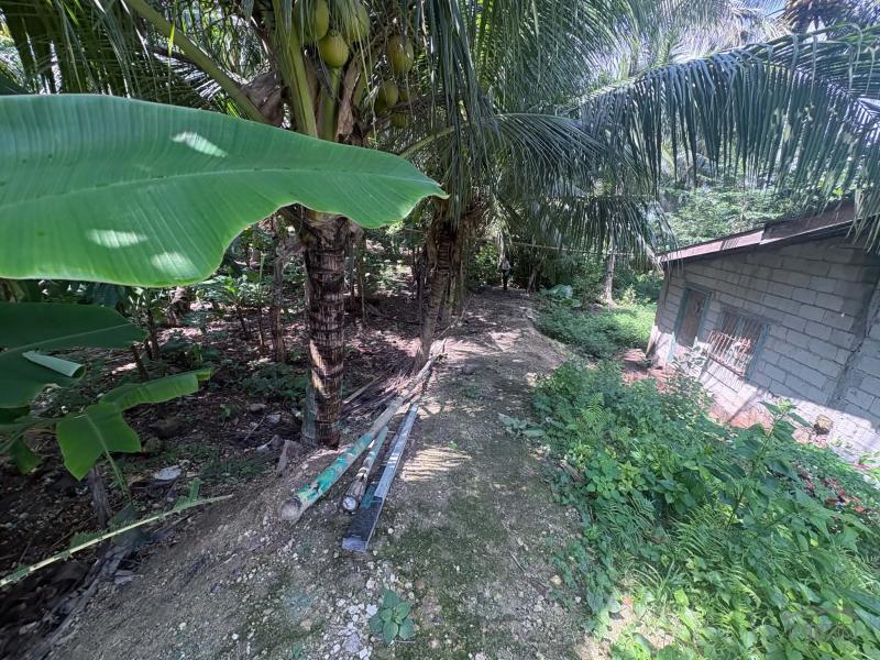 Residential Lot for sale in San Juan - image 3