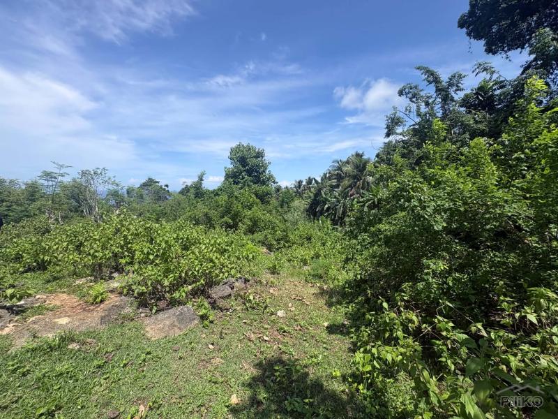 Residential Lot for sale in San Juan - image 6