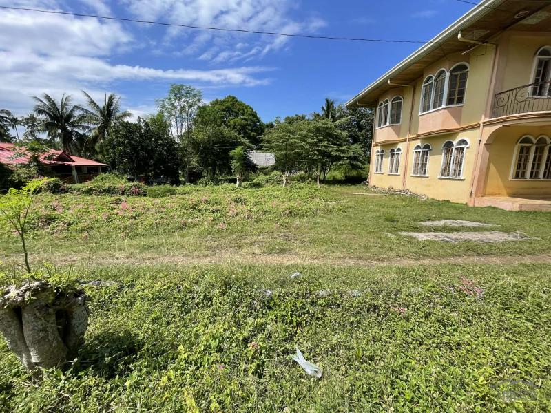 5 bedroom House and Lot for sale in San Juan - image 14
