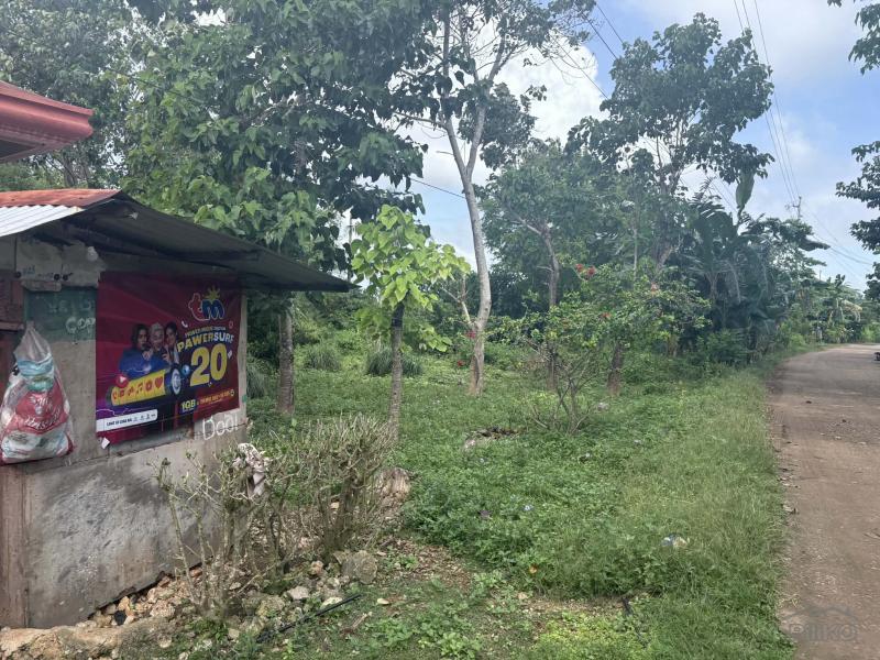 5 bedroom House and Lot for sale in San Juan - image 16