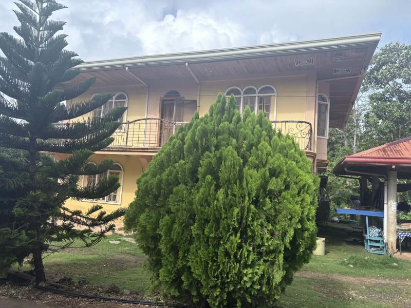 5 bedroom House and Lot for sale in San Juan - image 17
