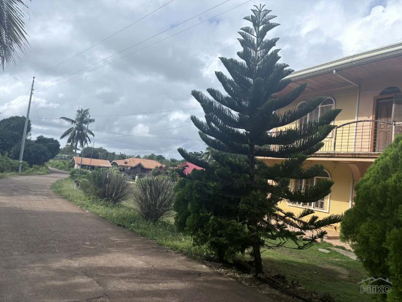 5 bedroom House and Lot for sale in San Juan - image 18